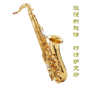 中国肏屄视频三级片
